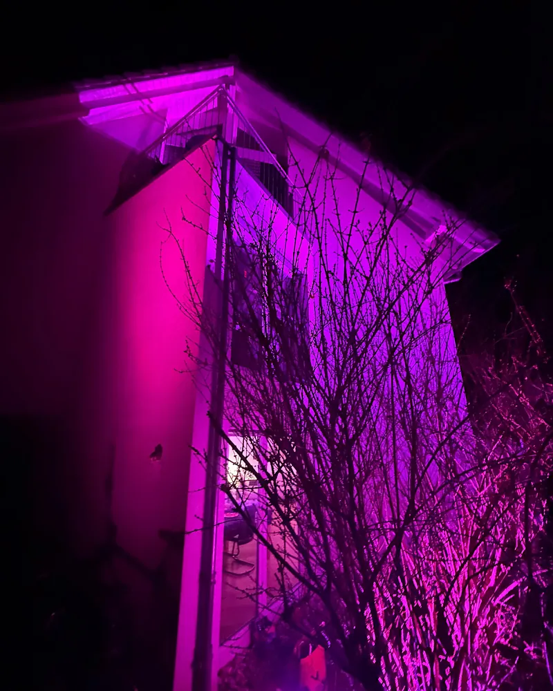 Hausfassade bei Nacht in pinkem und violettem Licht